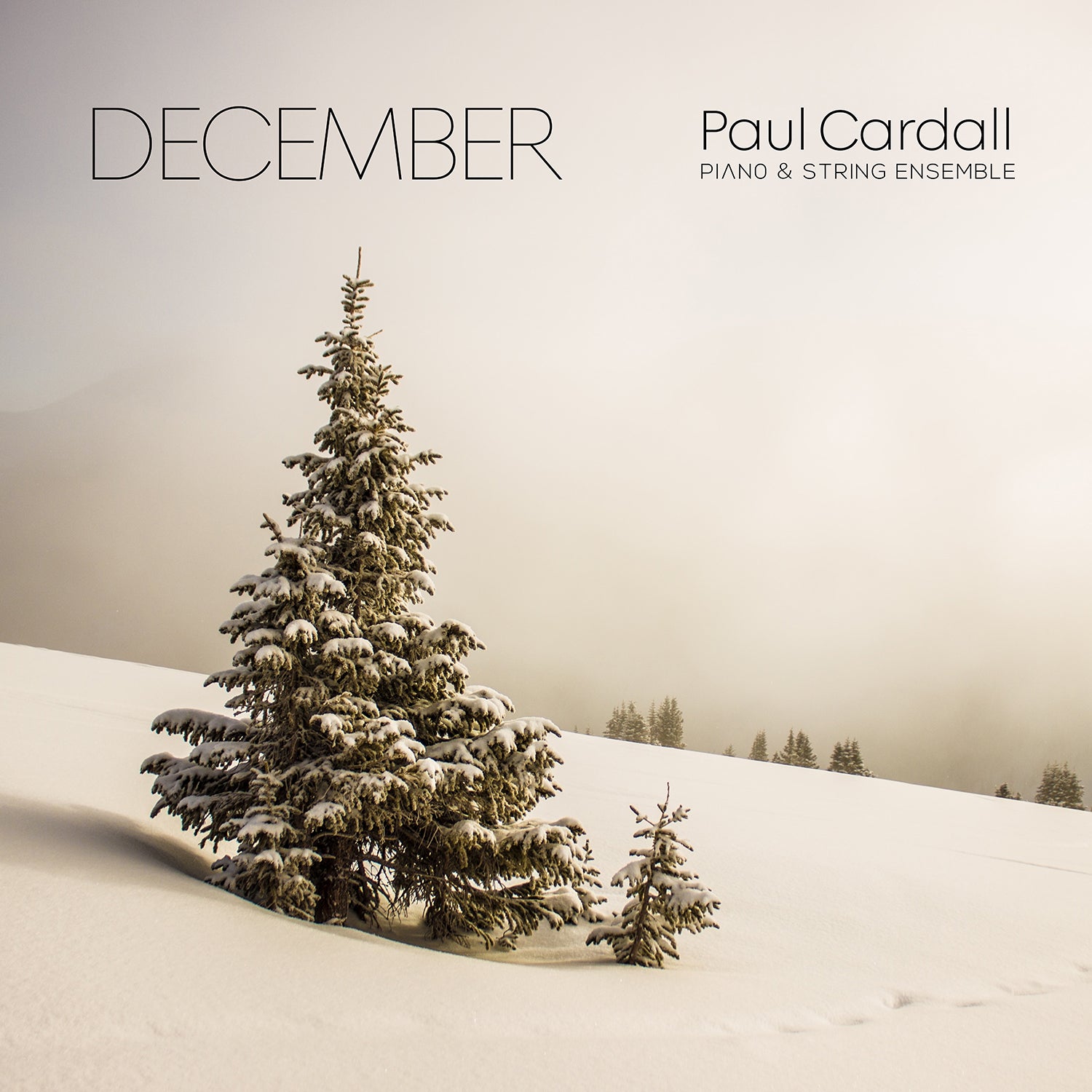 December (Digital Album) – Paul Cardall Store