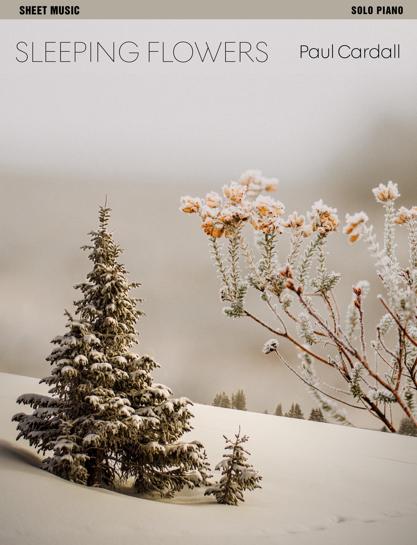 Sleeping Flowers (Sheet Music)